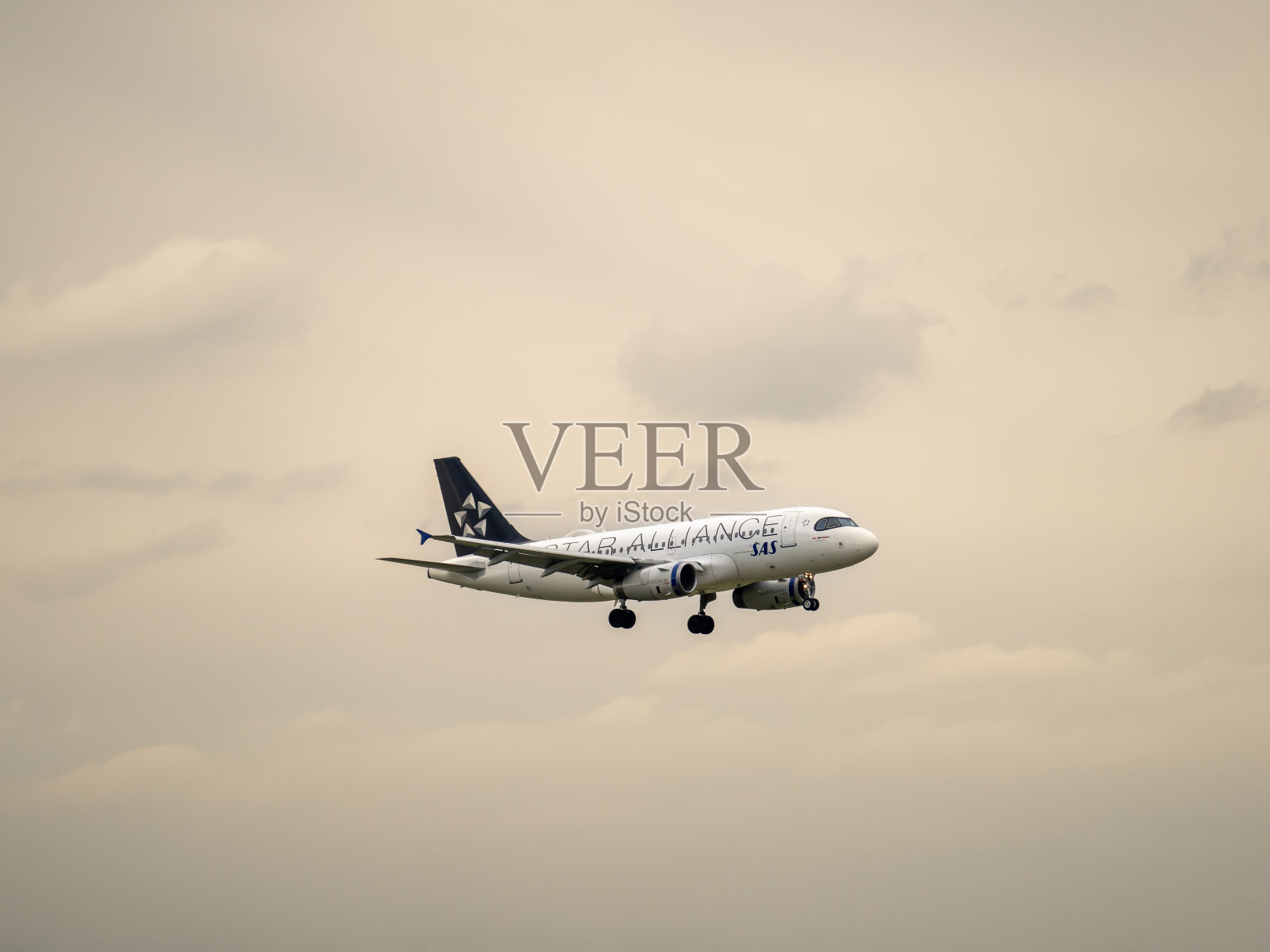 SAS空中客车A319正在米兰马尔彭萨国际机场降落。星空联盟制服照片摄影图片