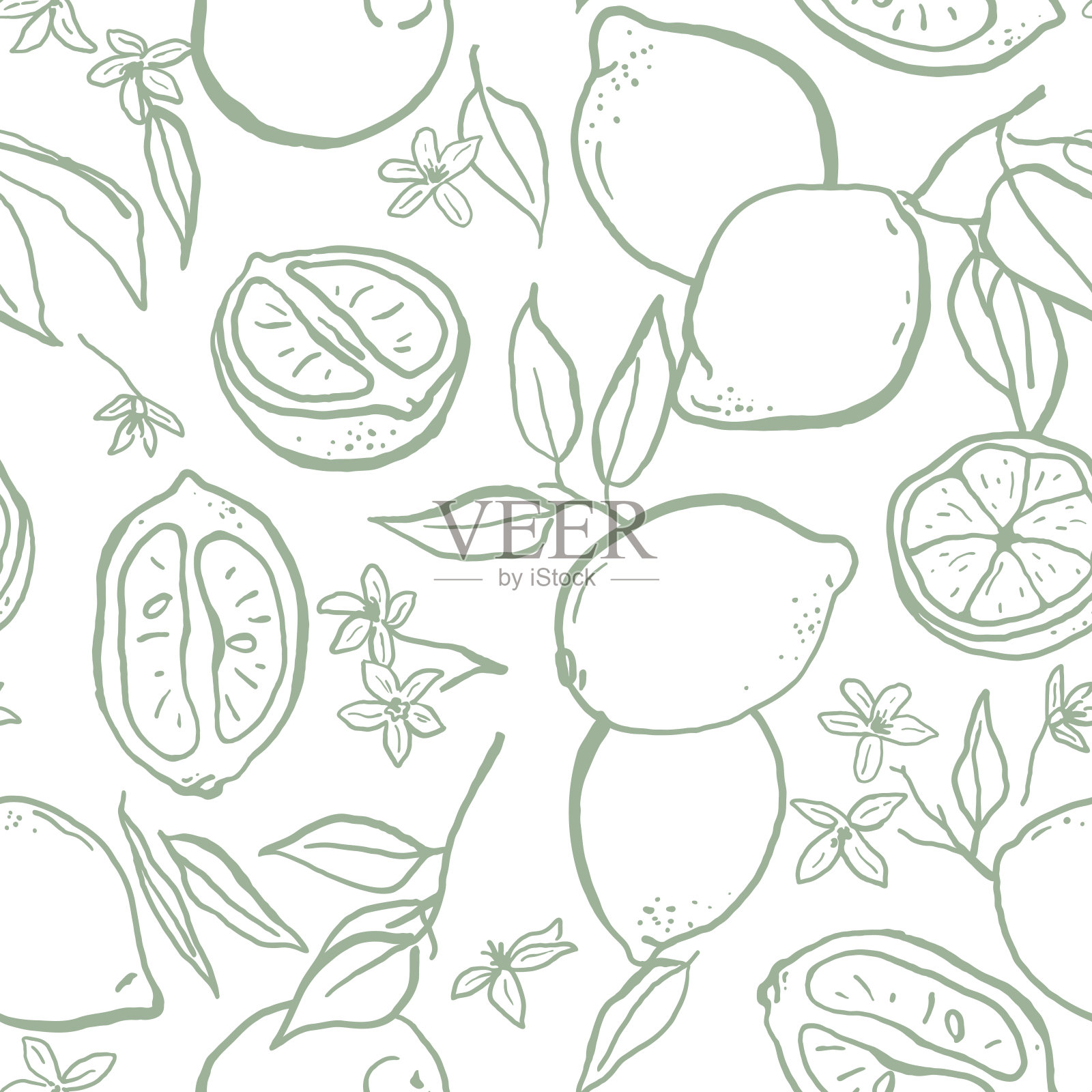 手绘素描风格柠檬无缝图案插画图片素材