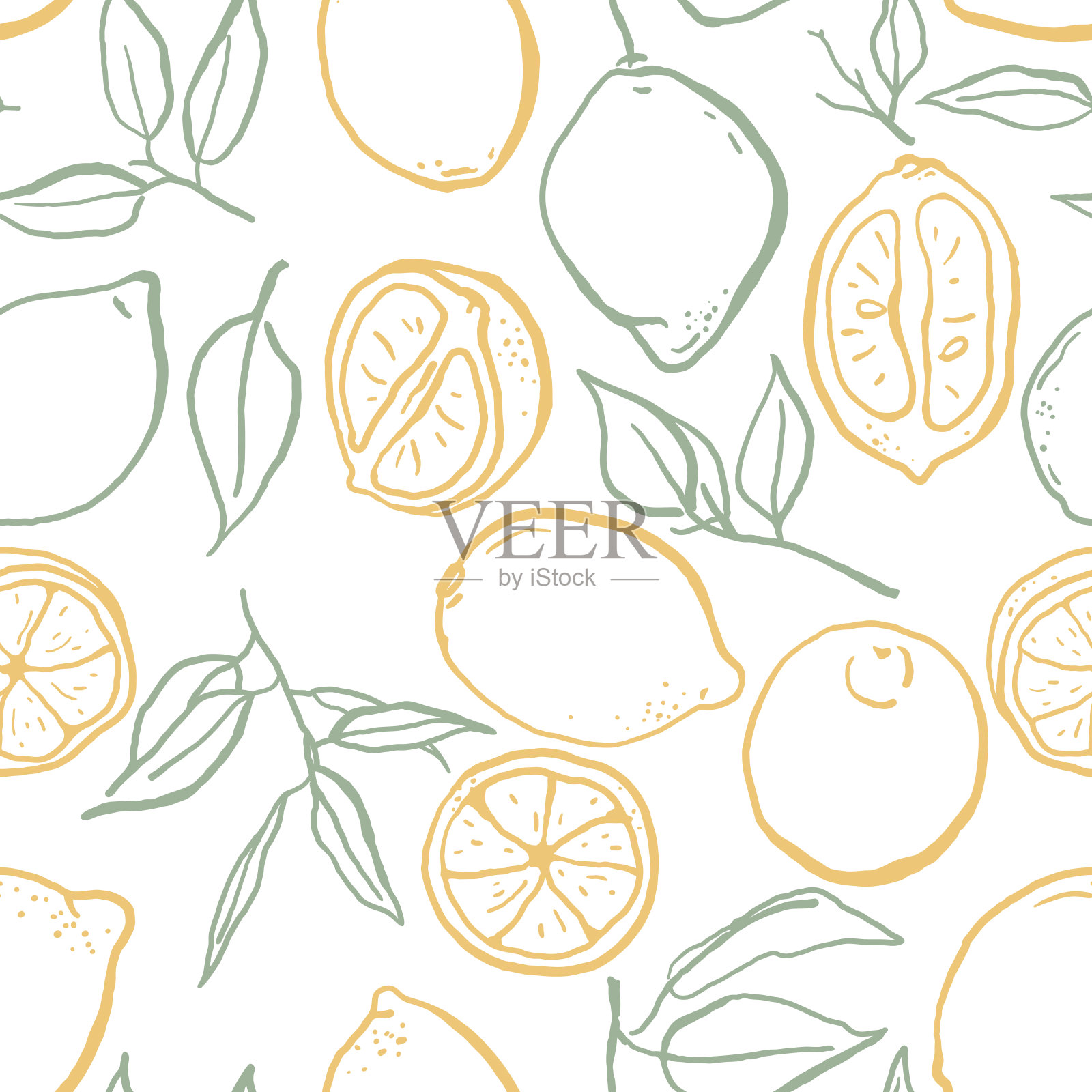 手绘素描风格柠檬无缝图案插画图片素材