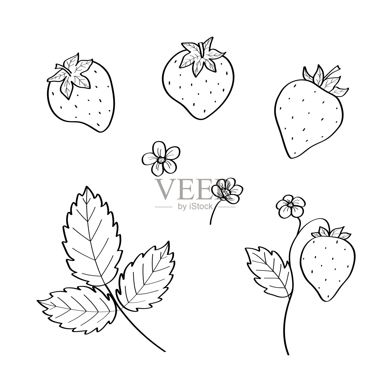 草莓素描图标集。矢量插图卡通草莓浆果与树叶，涂鸦风格。插画图片素材