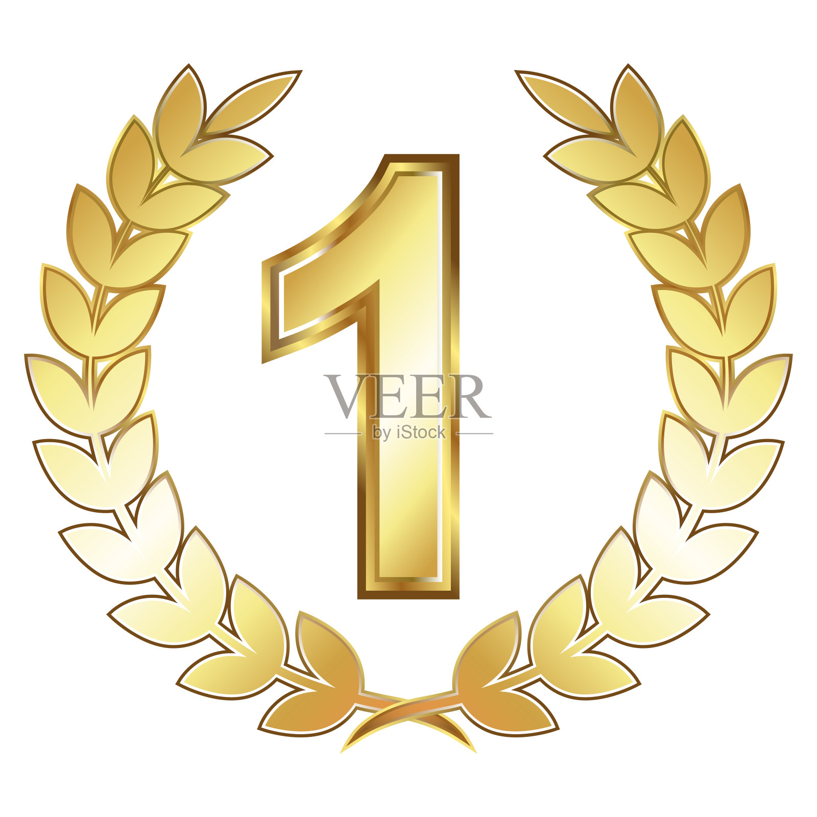 金色一号和月桂枝插画图片素材