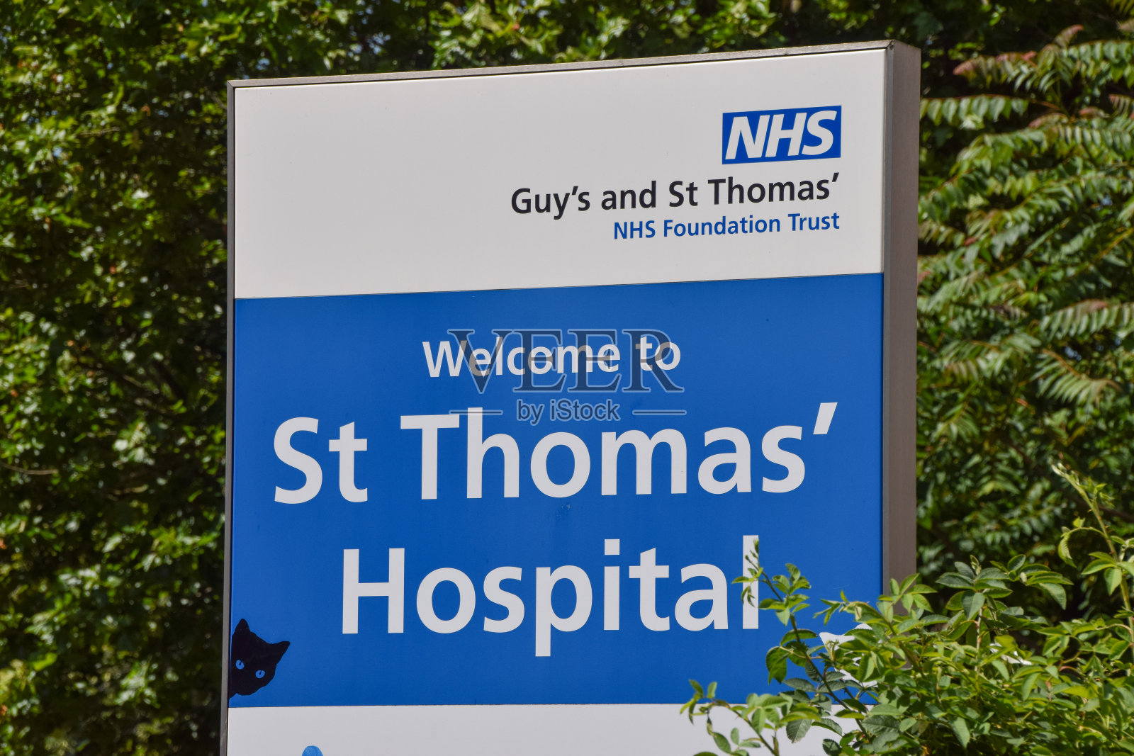 圣托马斯医院，伦敦，英国照片摄影图片