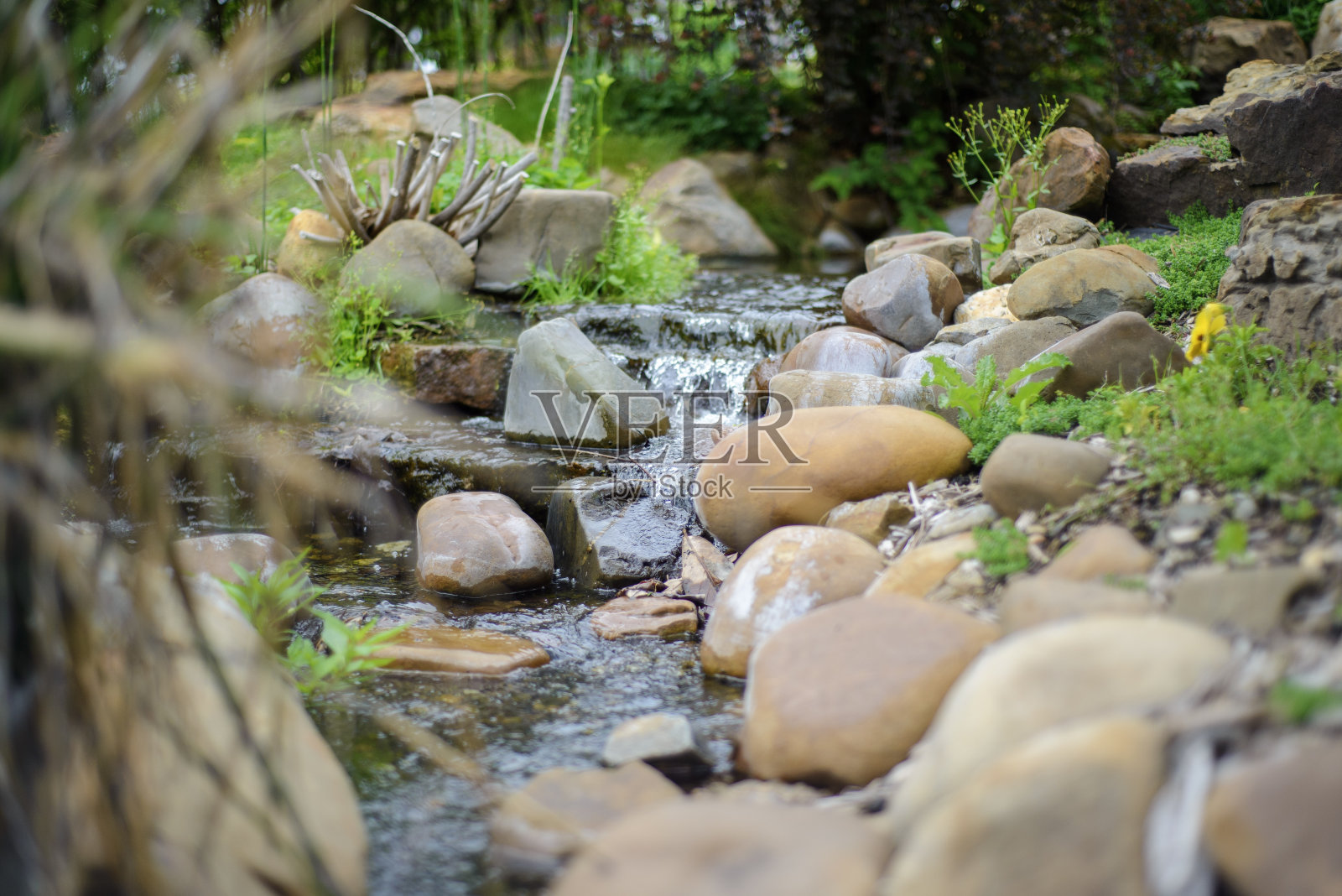 和平的小溪照片摄影图片