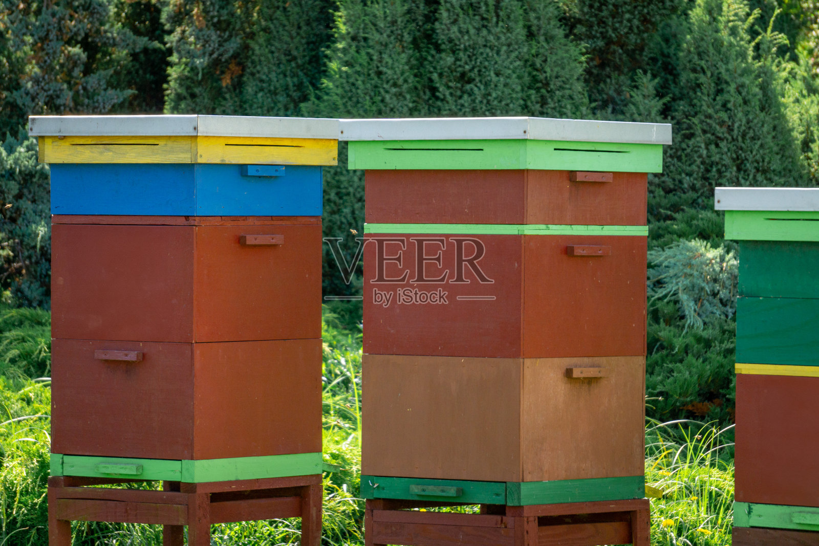 五颜六色的蜂房矗立在城市的公园里照片摄影图片