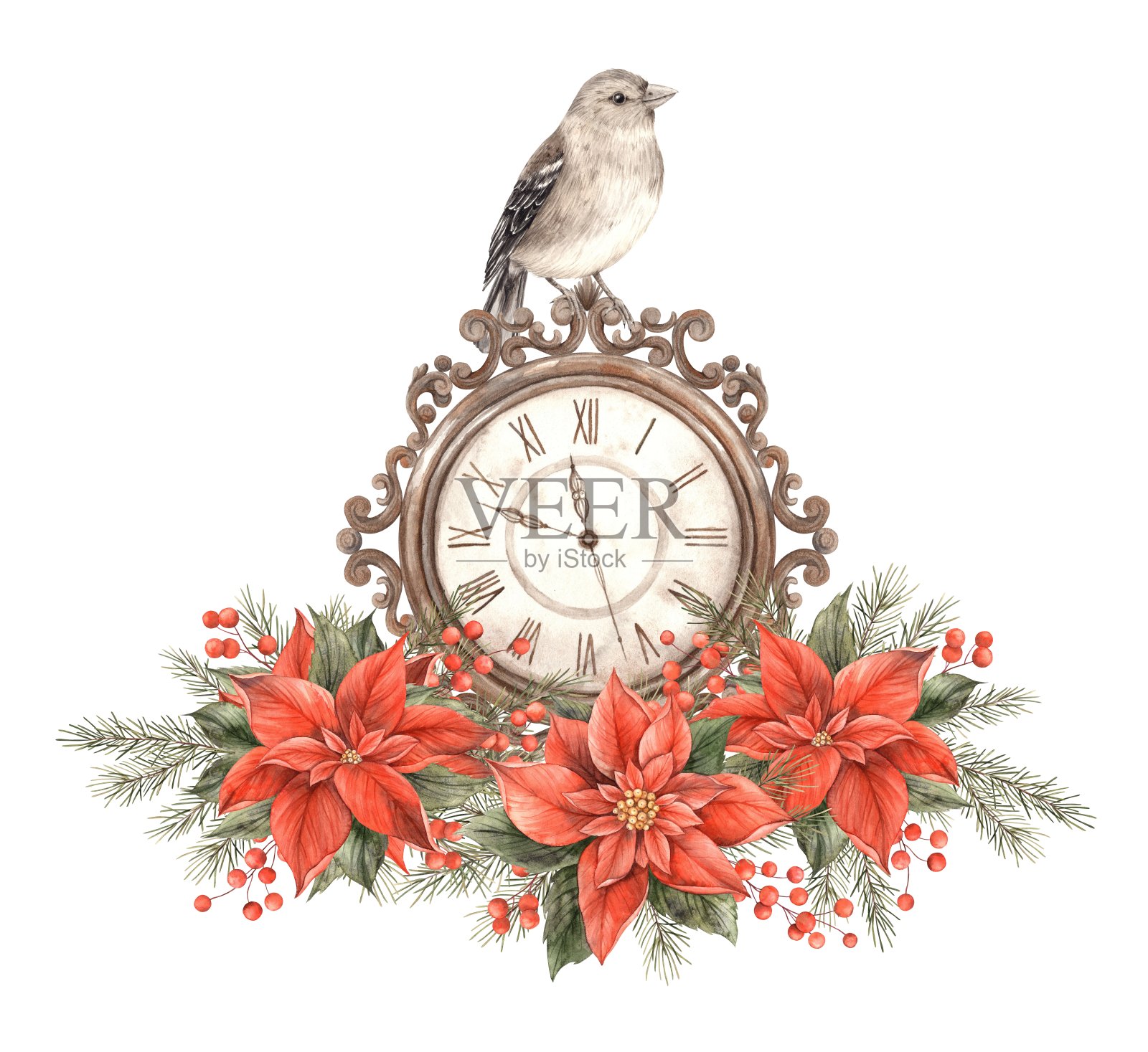 冷杉枝，鸟，铜钟，红莓和一品红。水彩插图孤立的背景在圣诞节的风格。年画，请柬，贺卡，包装纸。插画图片素材