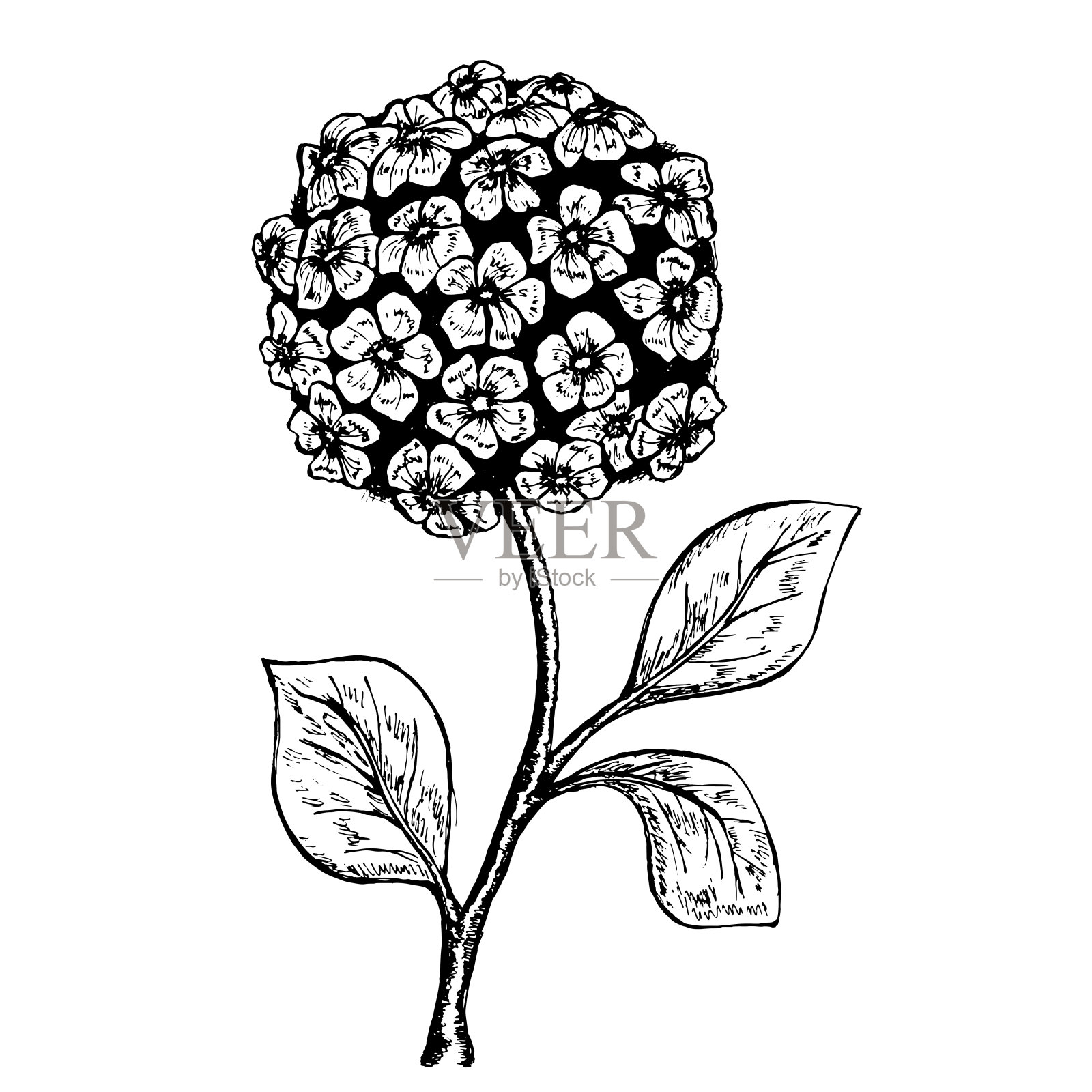 创意现代设计之花。画线。矢量插图。插画图片素材