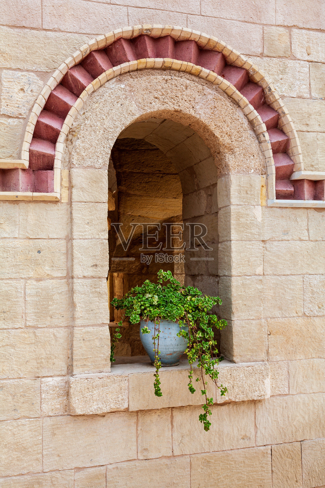 希腊克里特岛，基萨莫斯，圣Spyridon教堂橱窗里的植物照片摄影图片