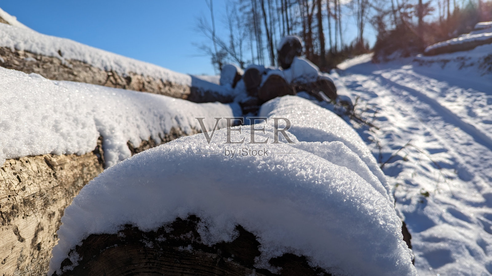 冬天森林里被雪覆盖的原木，特写照片摄影图片