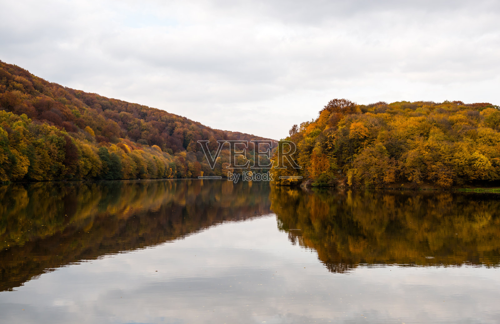 湖被山毛榉林环绕照片摄影图片