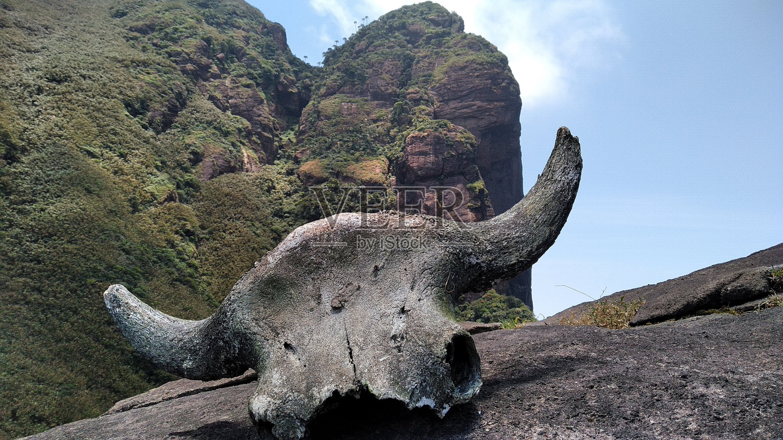 Kalakkad Mundanthurai老虎保护区照片摄影图片