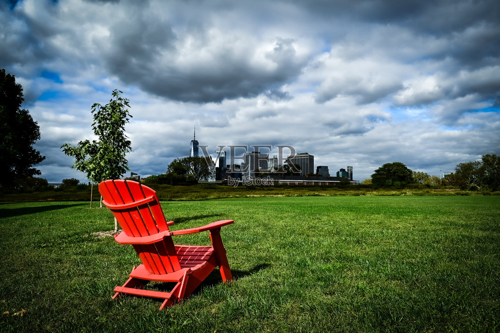 观鸟照片摄影图片