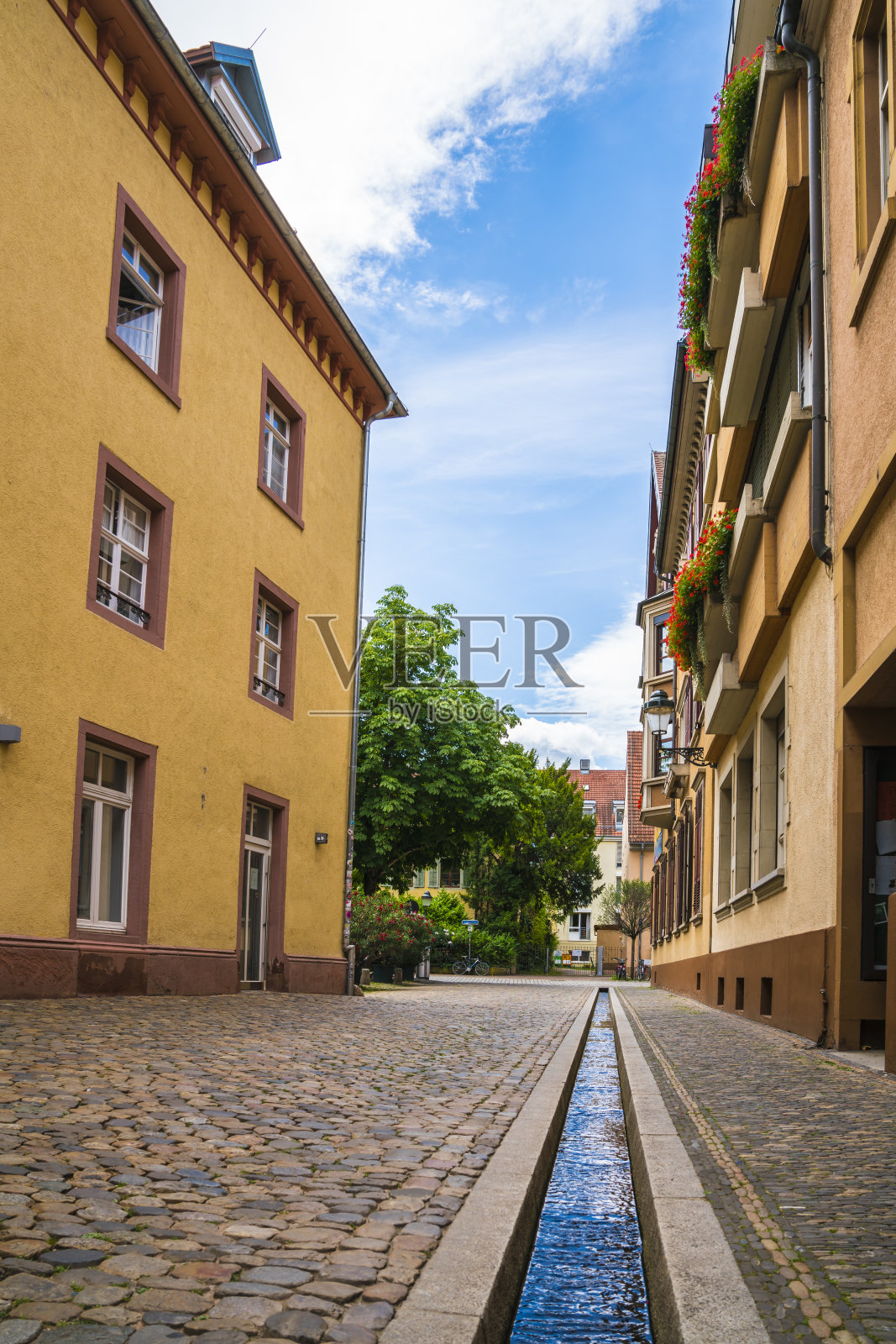 德国，弗莱堡因布列斯高市的房屋在夏天有小溪流经城市照片摄影图片