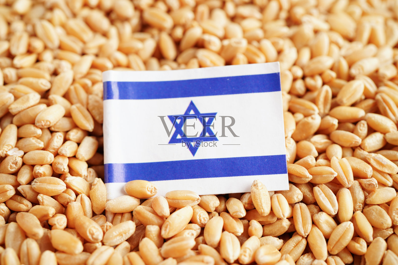 以色列国旗上的粮食小麦、贸易出口和经济概念。照片摄影图片