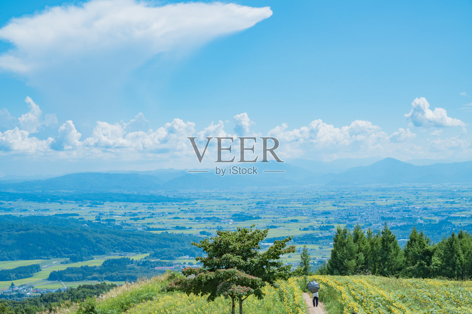 从三野仓高原看会津盆地照片摄影图片