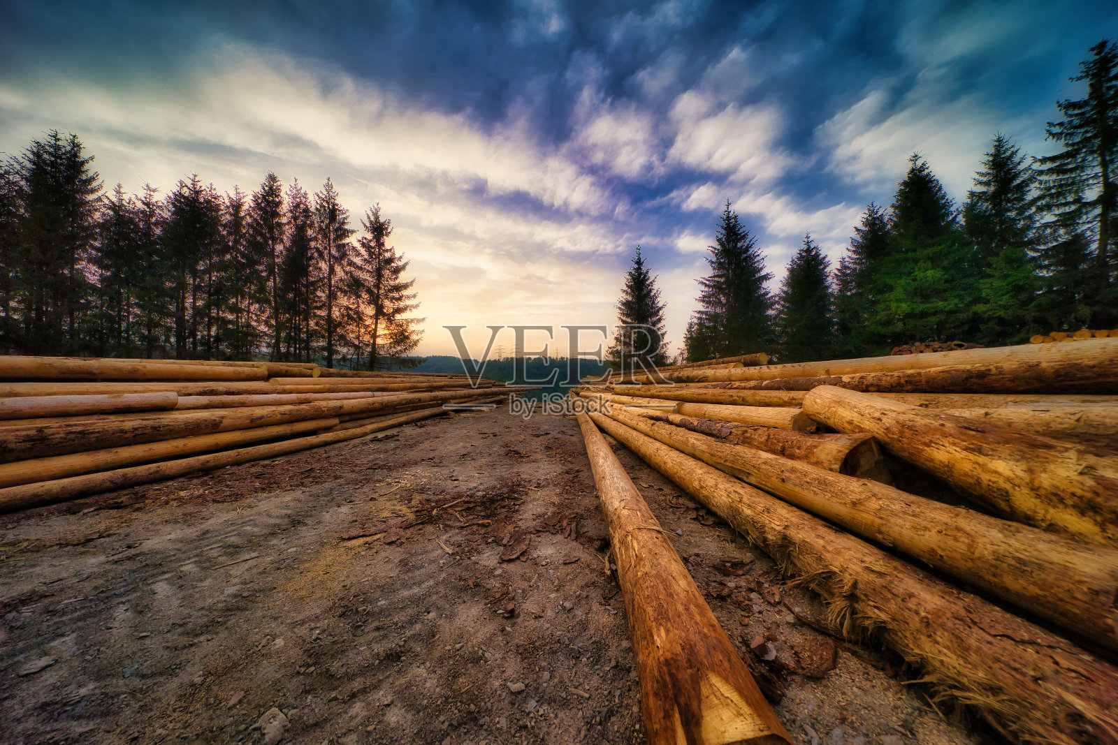 在图林根森林的Rennsteig上照片摄影图片