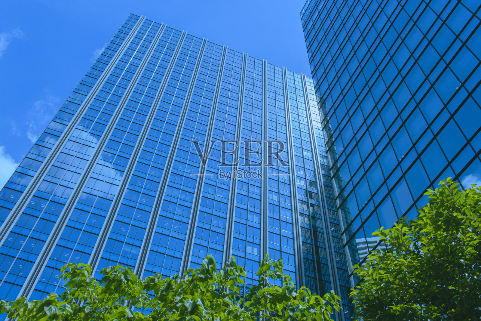 办公楼和绿树照片摄影图片