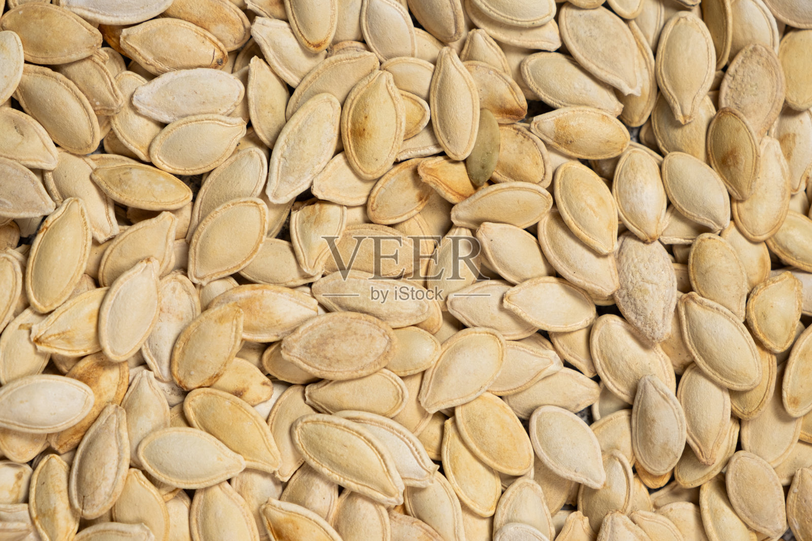 未剥皮南瓜籽的特写。照片摄影图片