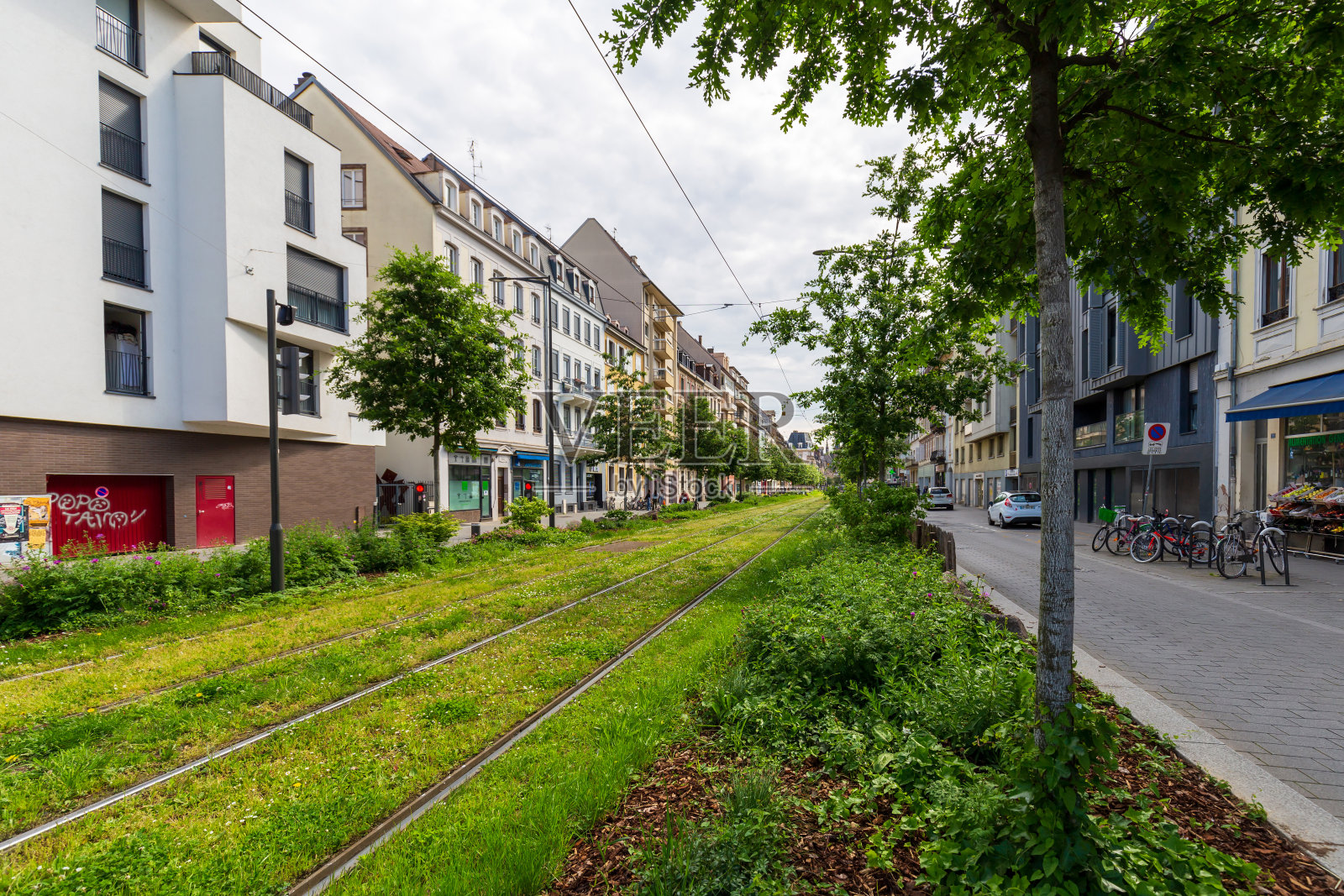 城市街道上斯特拉斯堡电车轨道上的绿色植物照片摄影图片