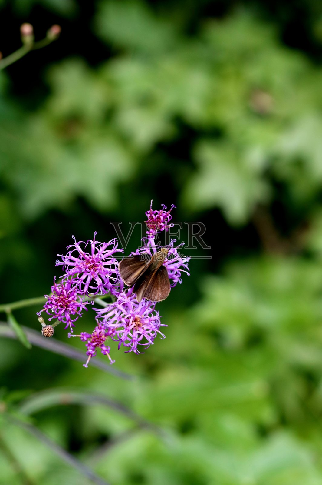 等待。照片摄影图片
