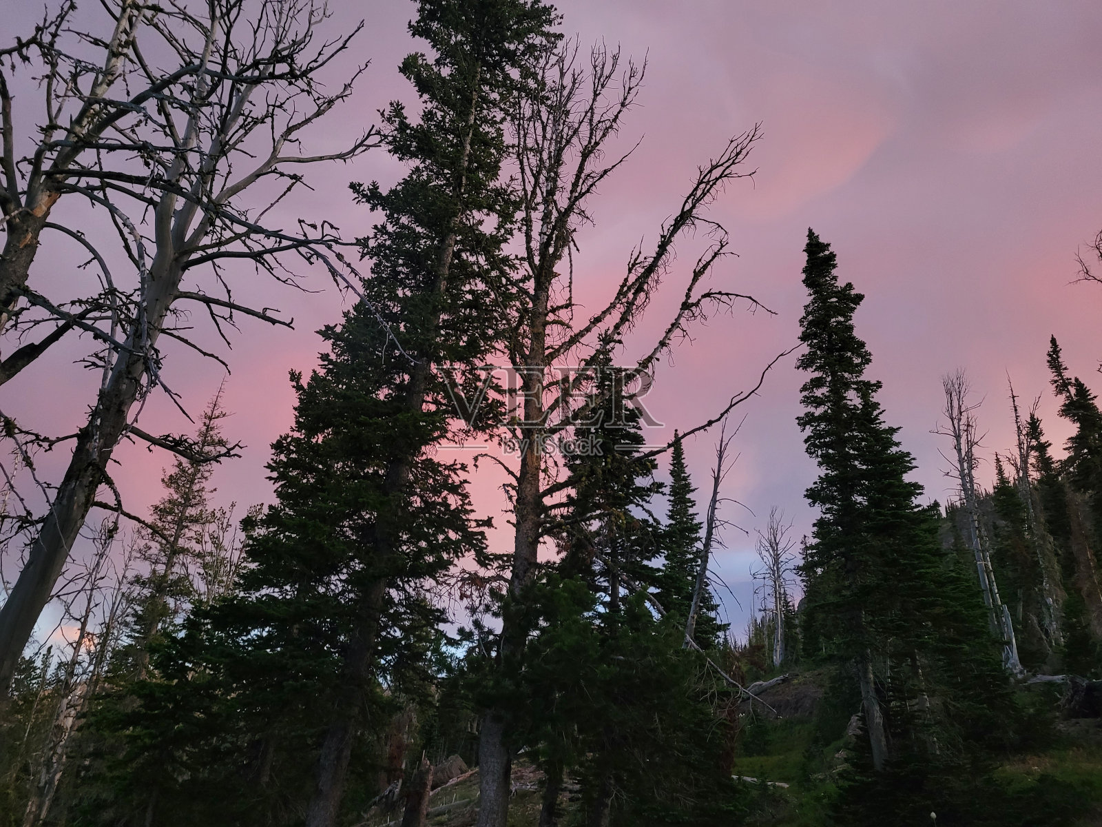 乔治湖远足照片摄影图片