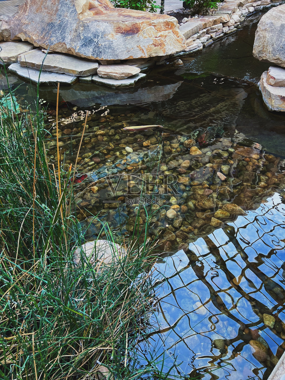商场里的池塘照片摄影图片