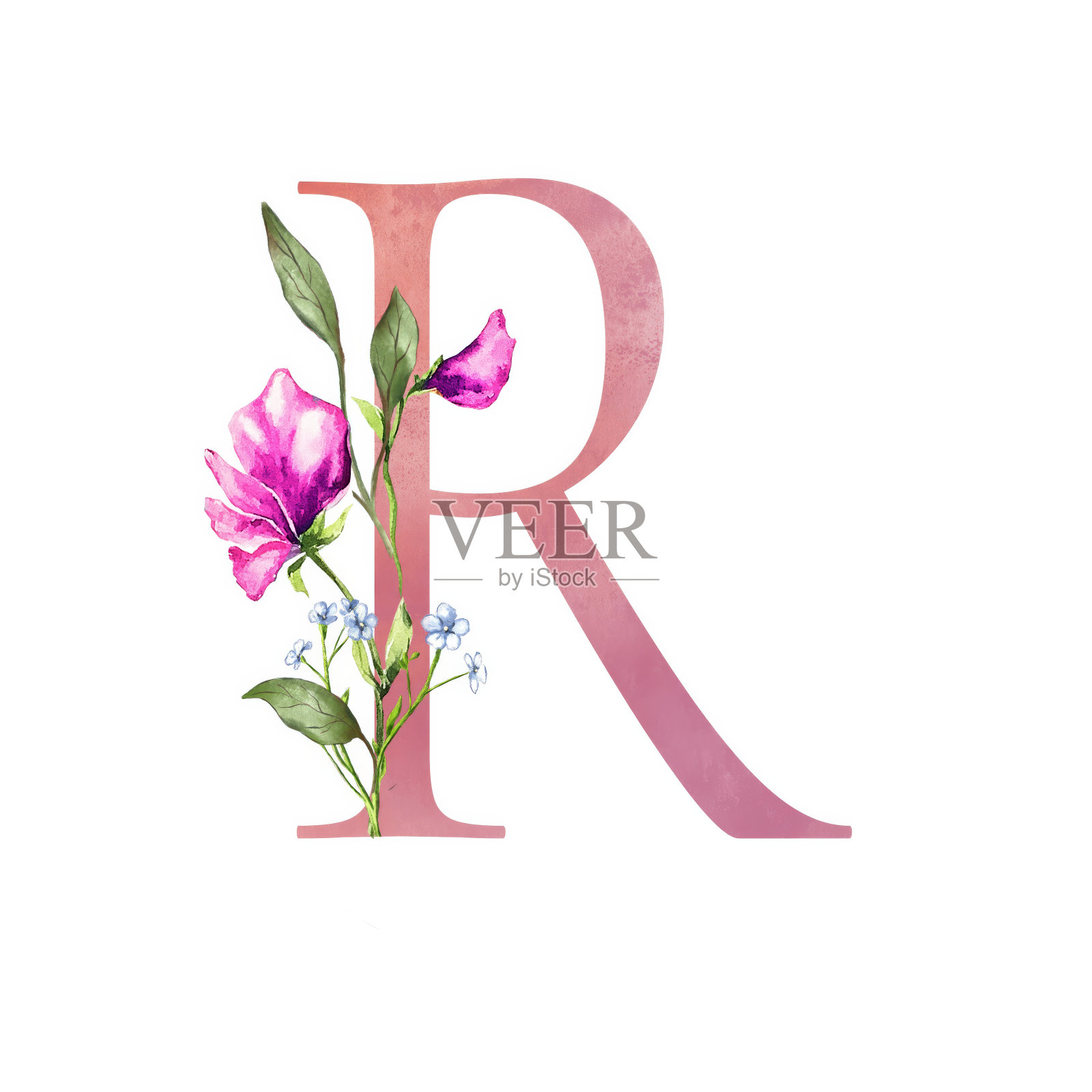 花卉字母与植物花束。婚礼水彩画手绘请柬，雏菊，甜豌豆，香草，草甸花，贺卡，生日，标志，海报插画图片素材