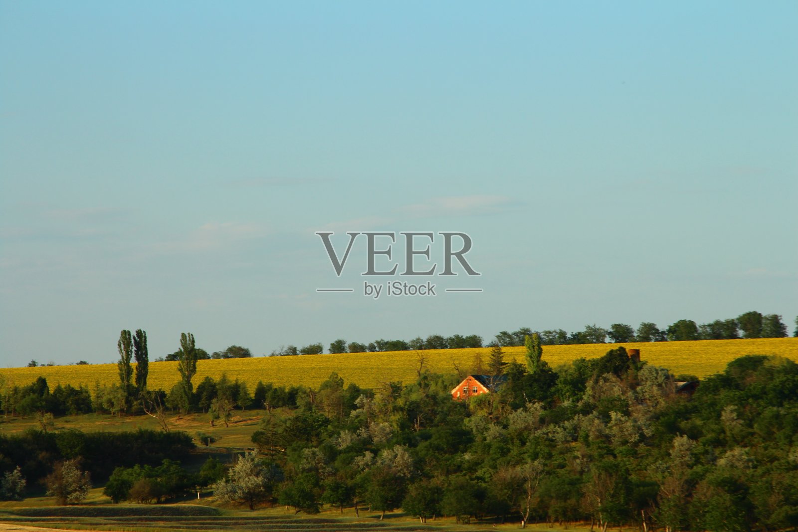远处是一片有树的大田野，还有一所房子照片摄影图片