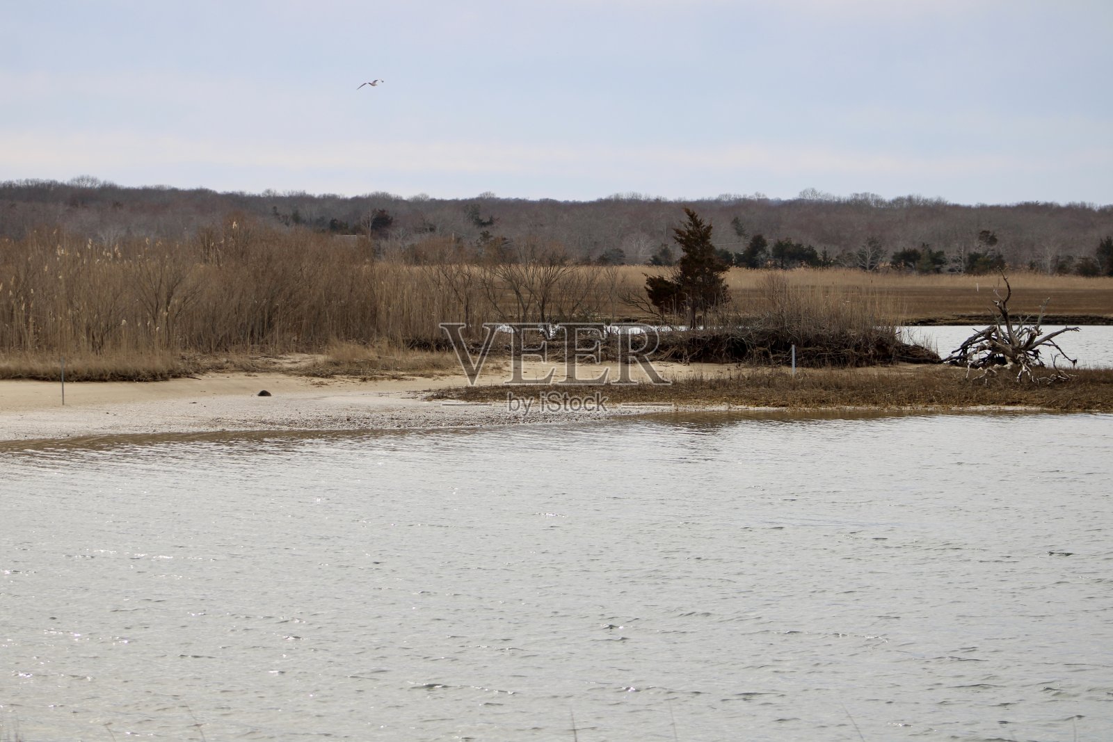 东汉普顿海岸线照片摄影图片