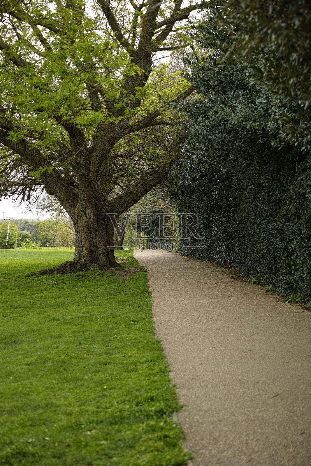 艾弗里山公园照片摄影图片