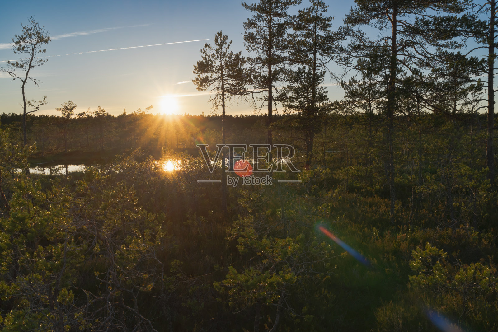 爱沙尼亚的自然风光，日落时的维鲁沼泽景观。照片摄影图片