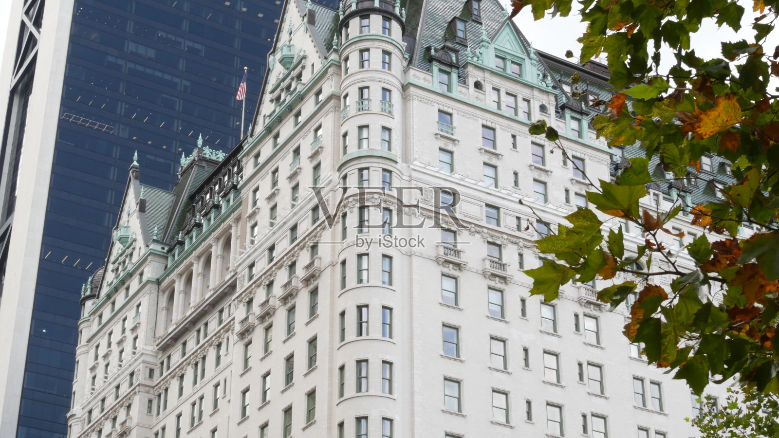 纽约曼哈顿中城。美国第五大道的中央公园。酒店大楼，普利策广场照片摄影图片