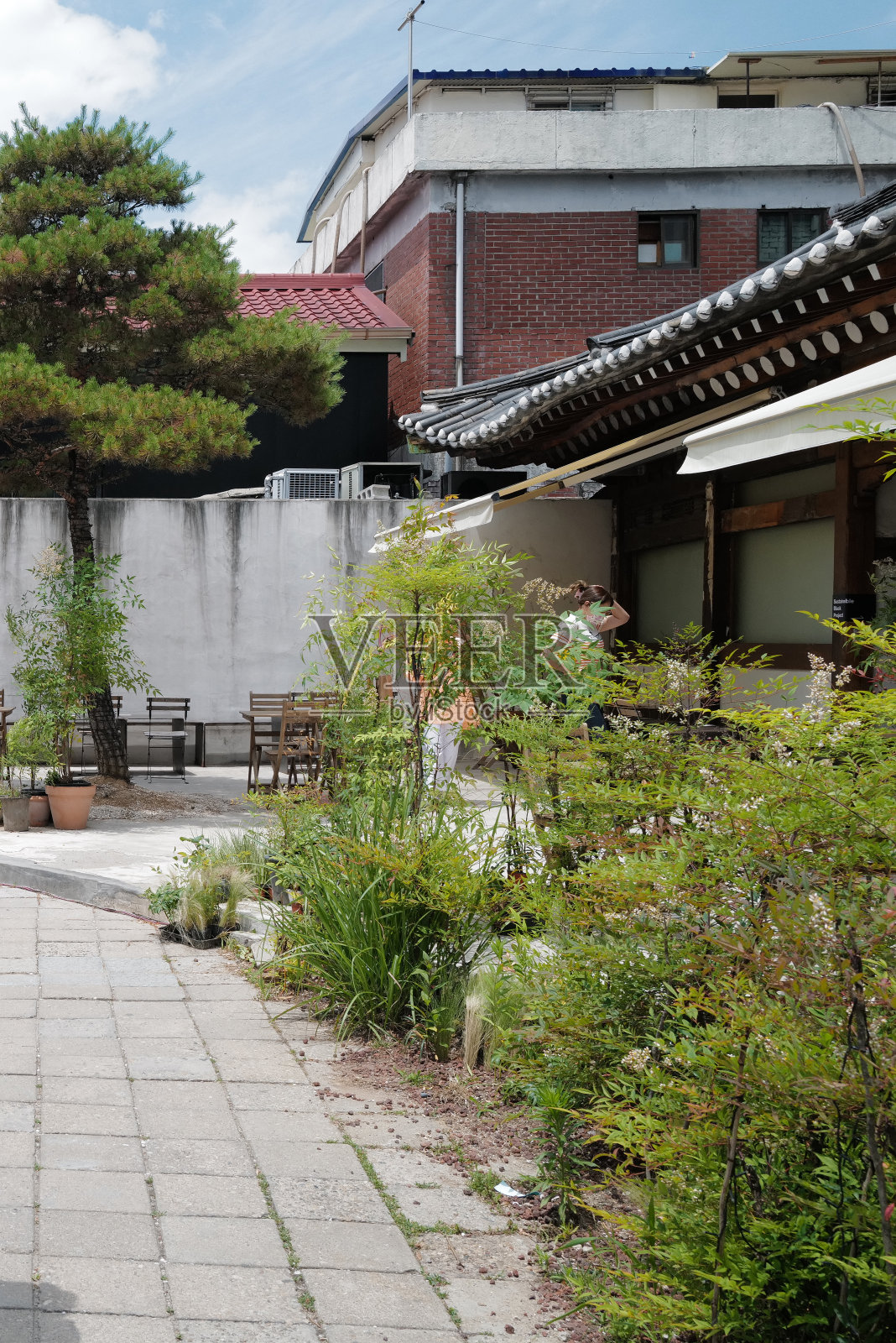 绿色花园露台、天井的外观设计与装饰照片摄影图片