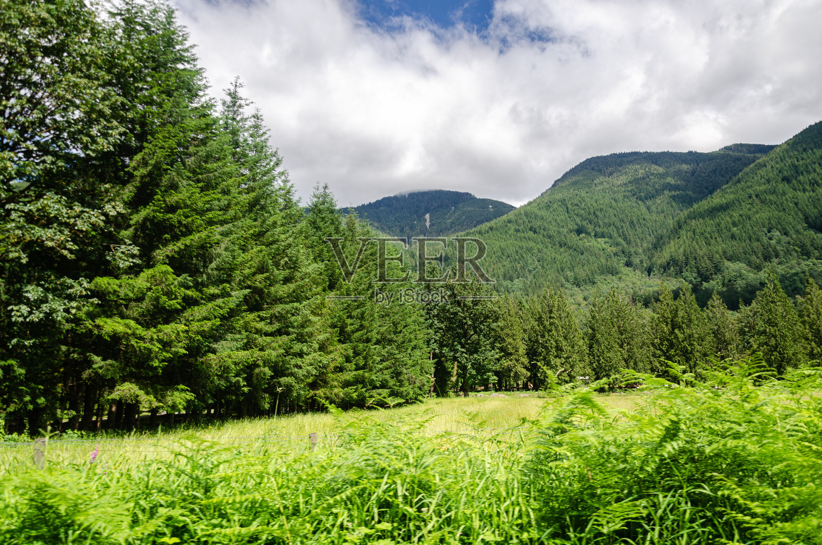 加拿大不列颠哥伦比亚省米申市附近弗雷泽山谷乡村的壮观景色照片摄影图片