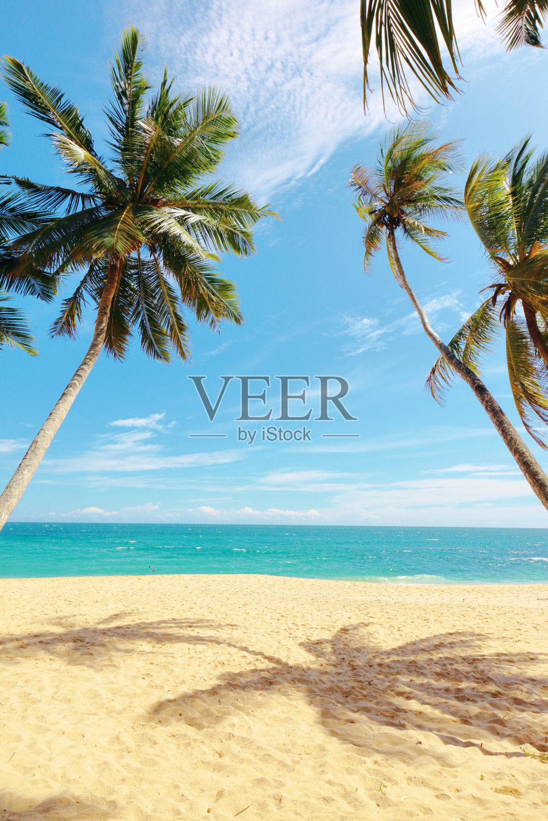 一个天堂般的热带海滩，棕榈树丛林，波浪般的绿松石海洋和蓝天照片摄影图片