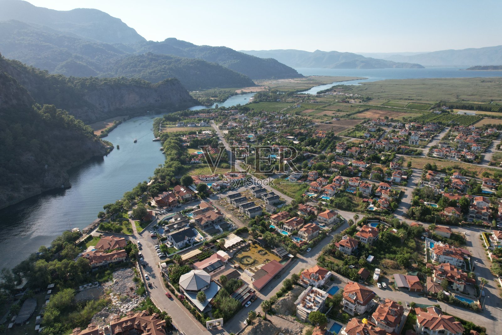 大雁的无人机视图。照片摄影图片