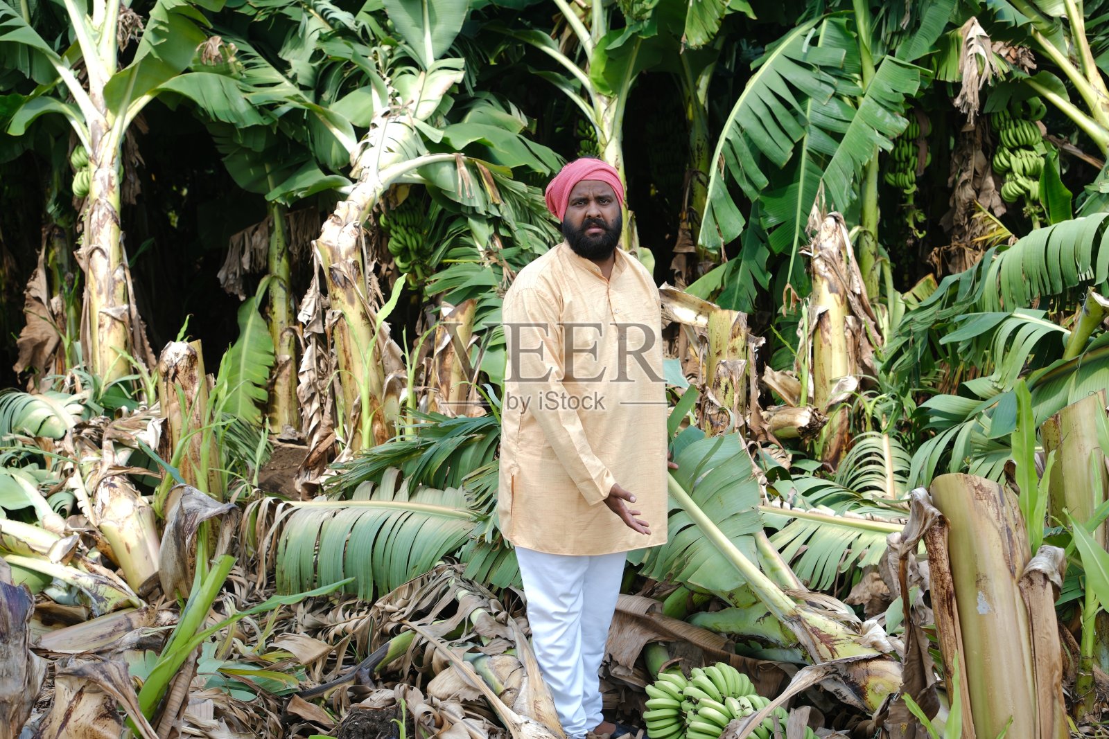 一位印度农民站在遭受自然灾害破坏的田地里，穿着传统的印度服装。照片摄影图片