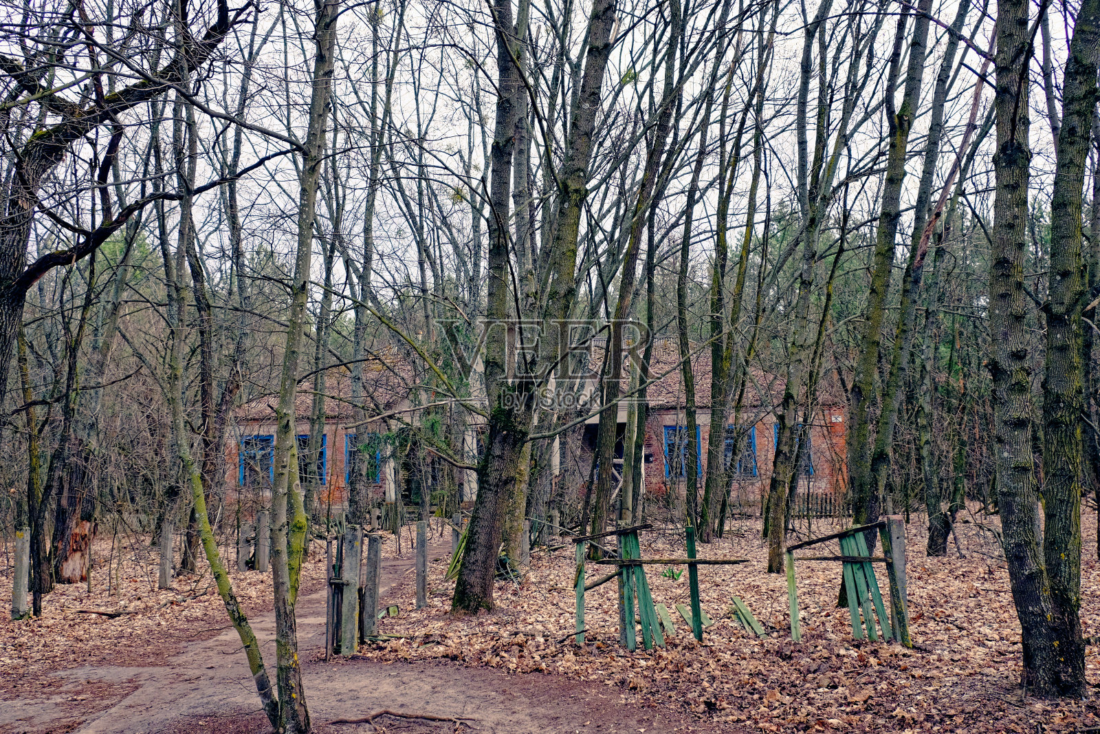 树林里一栋废弃的单层建筑。切尔诺贝利辐射区一所废弃幼儿园的外立面。地上的秋叶。一幢废弃的老房子前的树。照片摄影图片