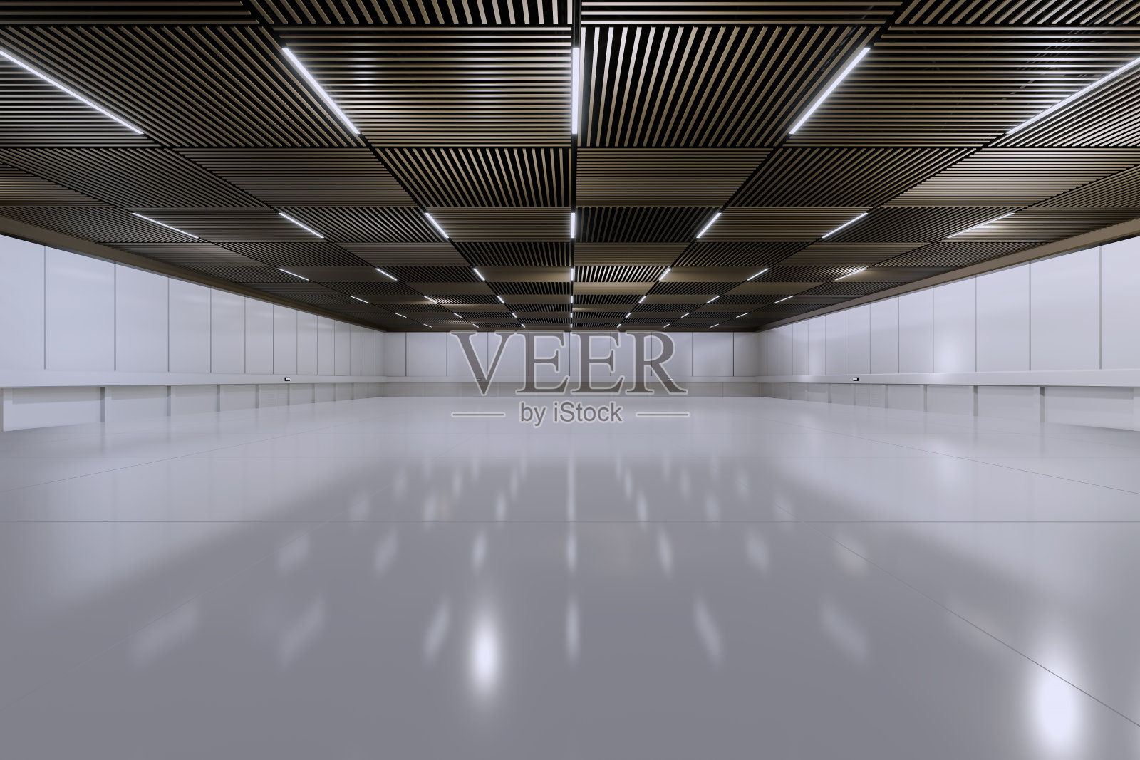 展览中心空厅。大房间。展台、摊位、市场、贸易展的背景。活动、会议的对话。用于娱乐、活动、运动的场所。工厂室内，陈列室。3 d渲染。照片摄影图片