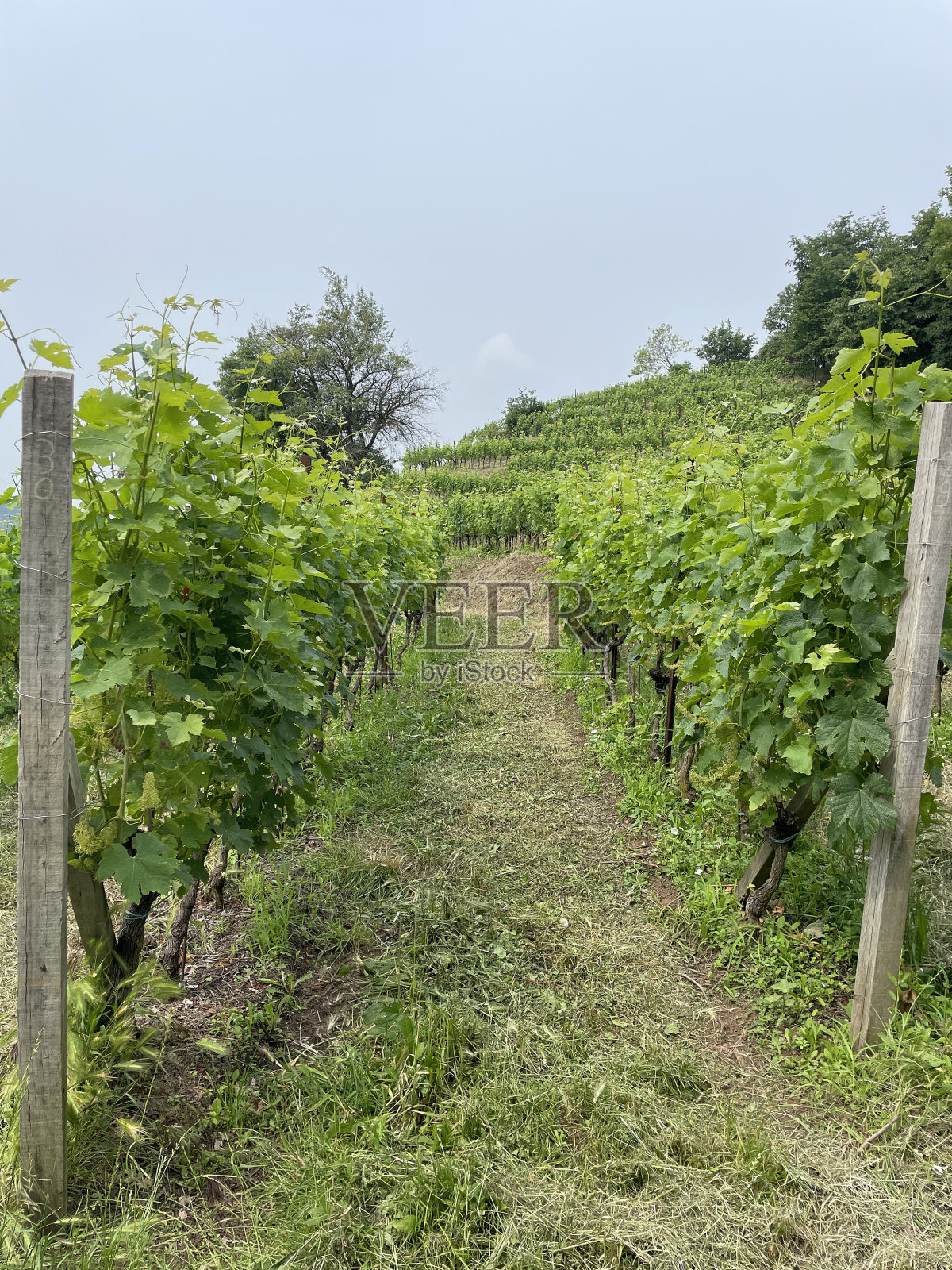 令人叹为观止的山景照片摄影图片