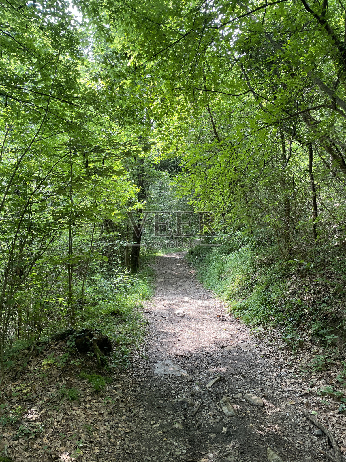 令人叹为观止的山景照片摄影图片