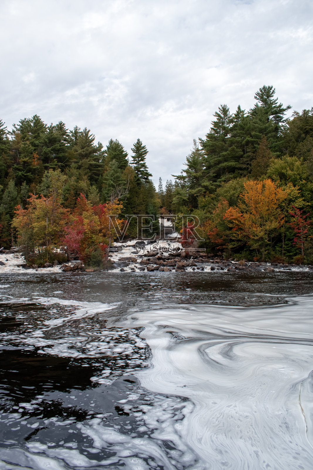 美丽的自然背景。阿尔冈昆公园，加拿大。照片摄影图片