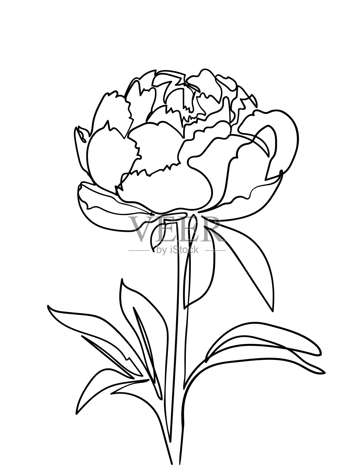 抽象牡丹花的线条艺术画风。矢量图插画图片素材