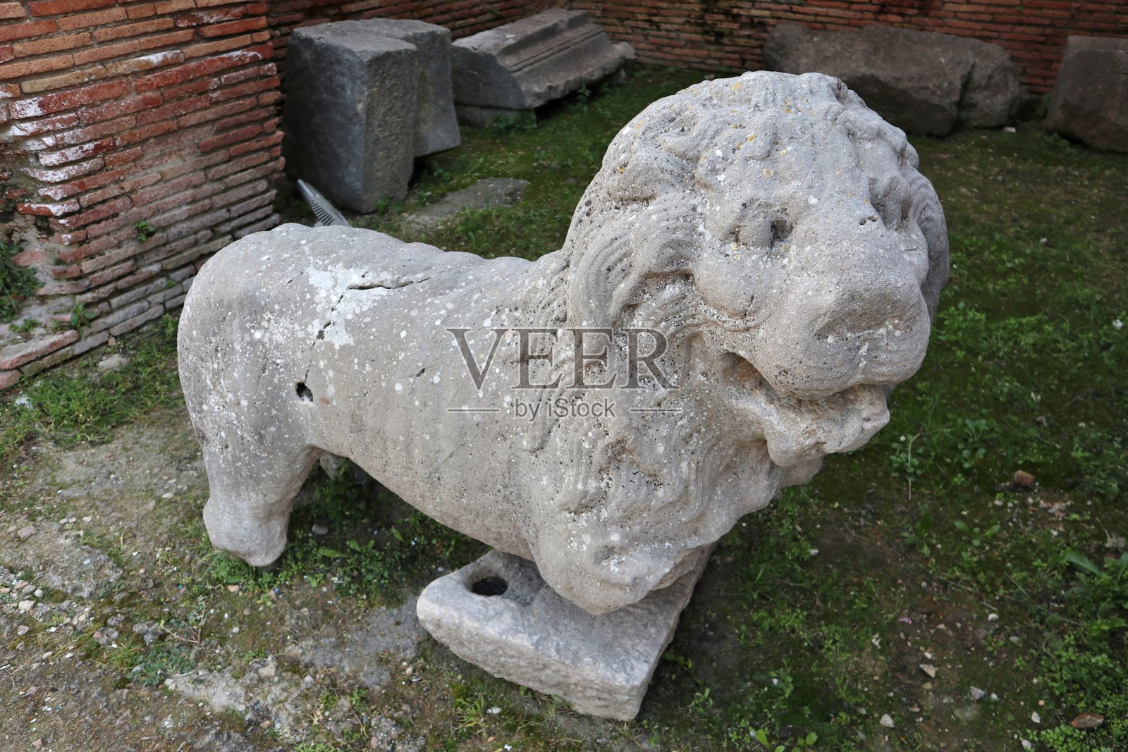 贝内文托——公元一世纪的陪葬狮子照片摄影图片