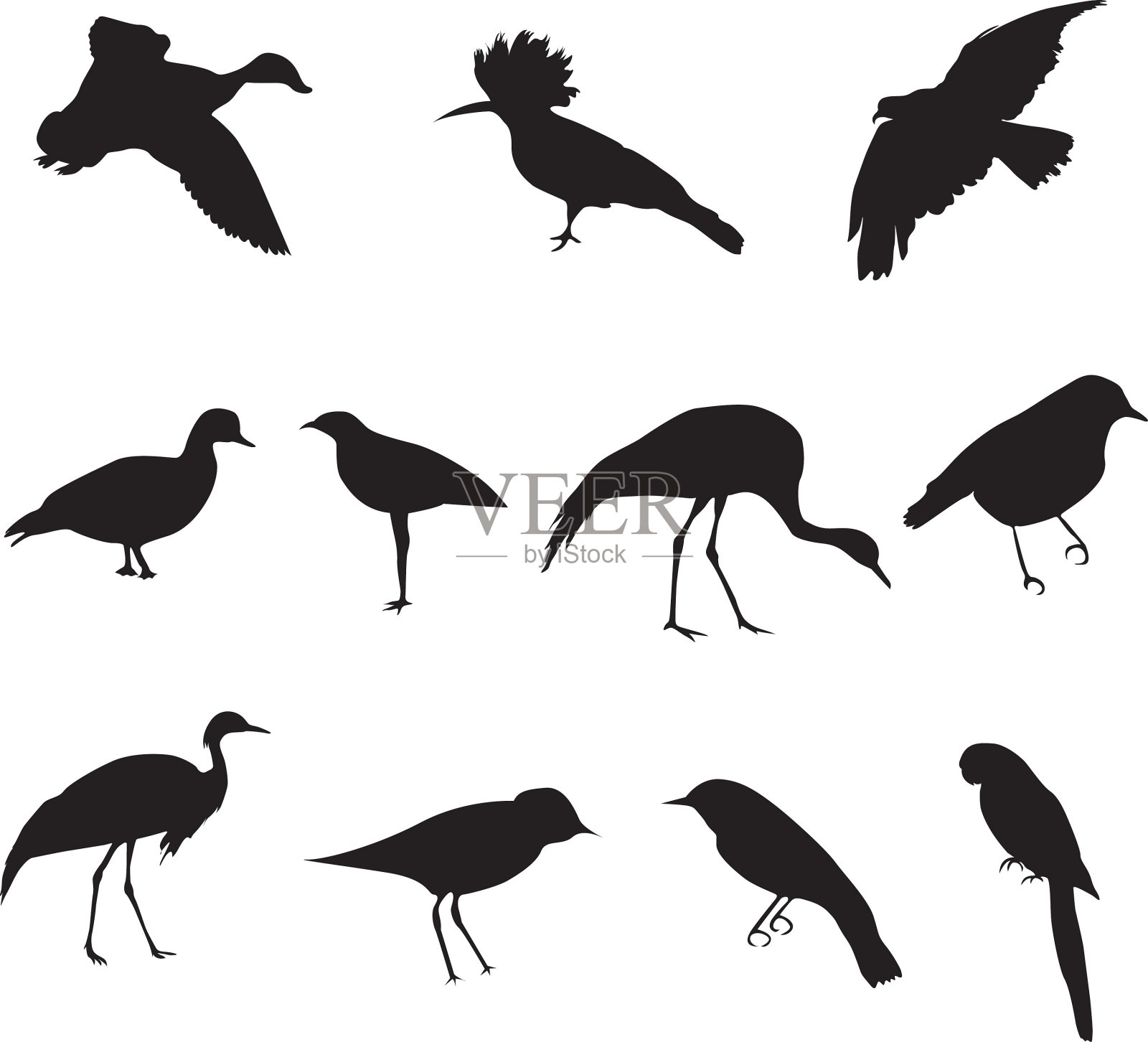 简单形状的鸟在你的设计中使用插画图片素材