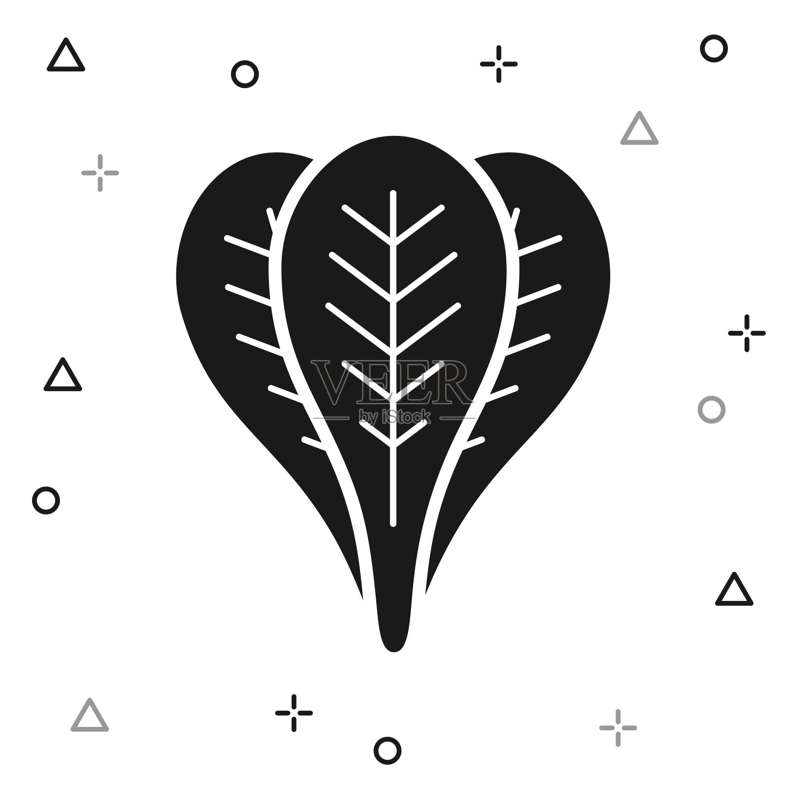 菠菜。白色背景图标插画图片素材