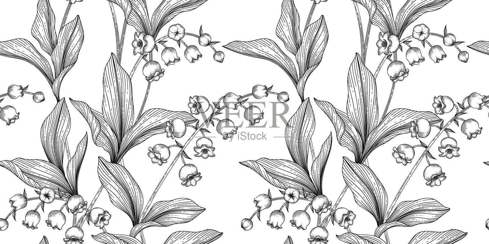 铃兰花图案黑白插图插画图片素材