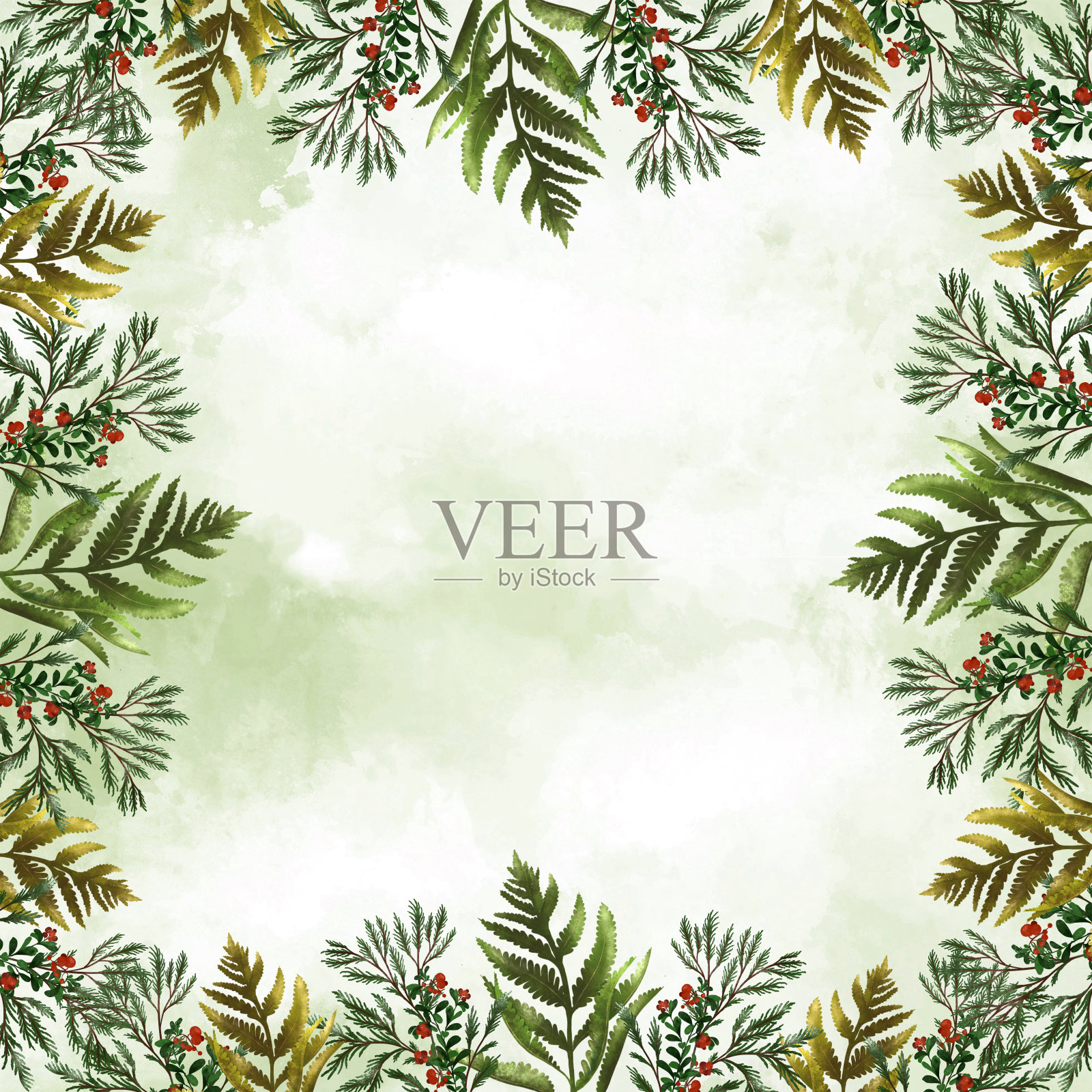 野生森林叶蕨，柏树，水彩植物边框模板，浆果，秋天，秋天的时间。花卉设计背景，复制空间，文字空间插画图片素材