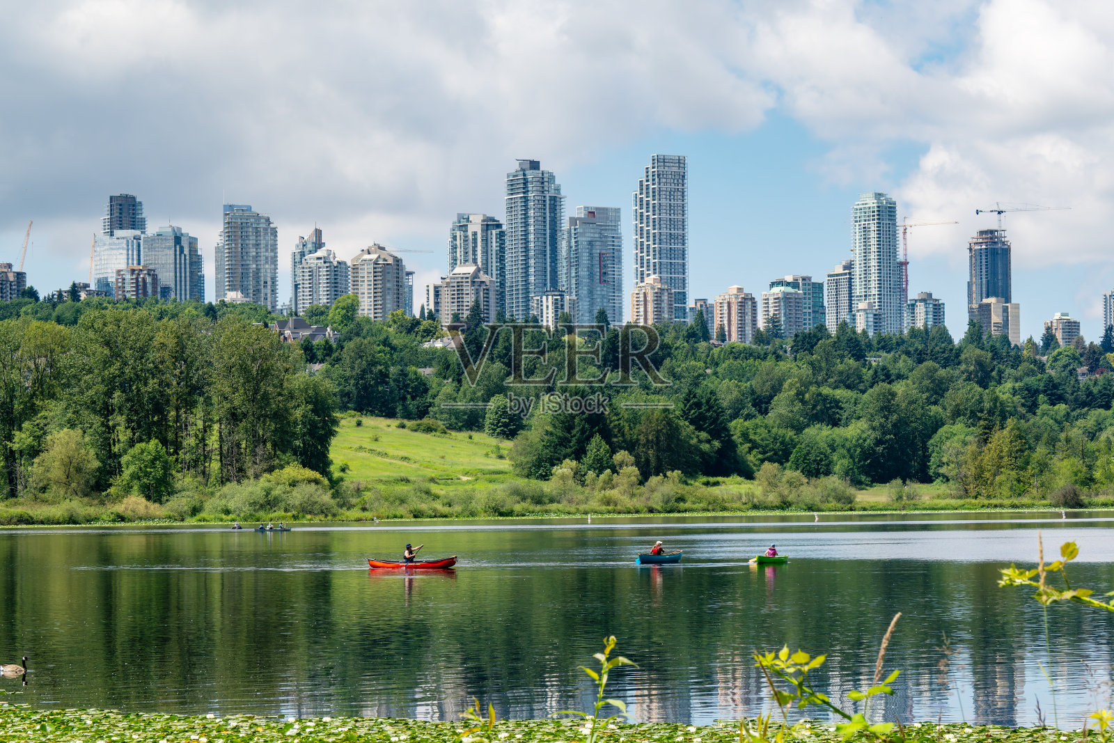 鹿湖照片摄影图片