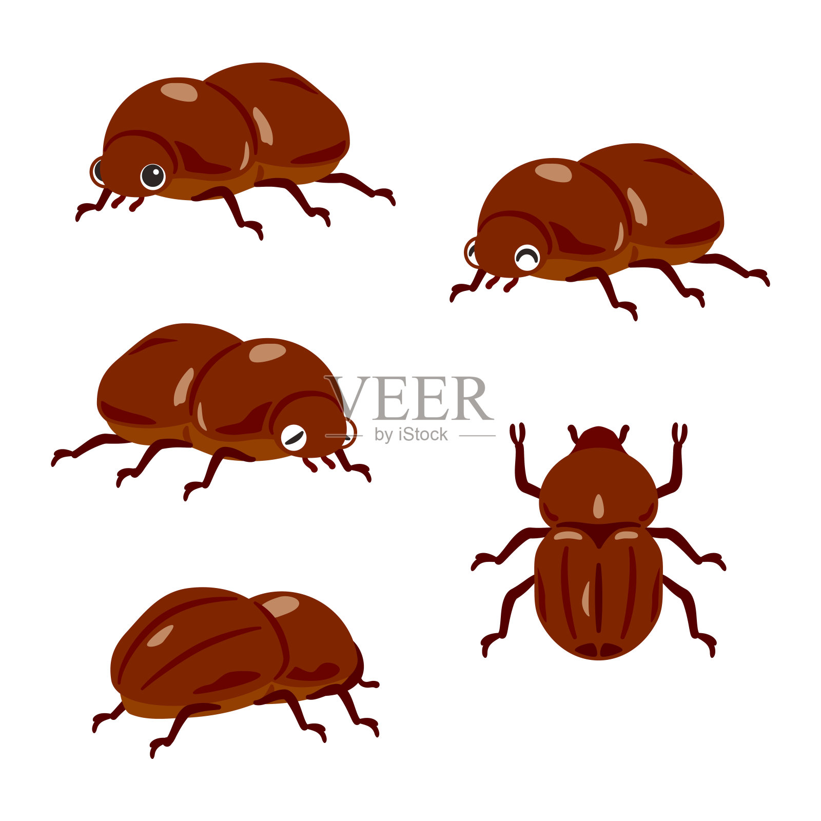 雌性犀牛甲虫套装插画图片素材