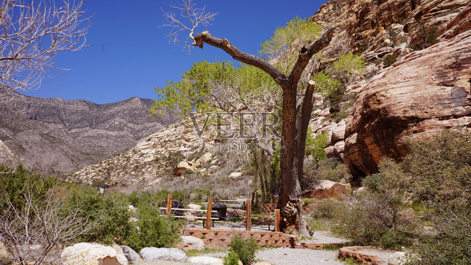 红岩峡谷岩画照片摄影图片